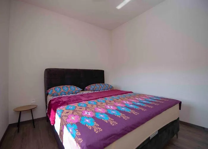 Berdovic טרביניה